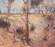 Vincent Van Gogh Trees in a Field on a Sunny Day (nn04) Spain oil painting artist